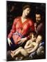 The Holy Family, C.1540-Agnolo Bronzino-Mounted Giclee Print