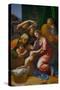 The Holy Family, Called La Grande Sainte Famille De Francois I, 1518-Raphael-Stretched Canvas
