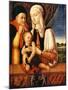 The Holy Family (Coat of Arms of Barbara De Brandeboug, Duchess of Mantua), C.1450-60 (Oil on Wood)-Antonio Vivarini-Mounted Giclee Print