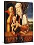 The Holy Family (Coat of Arms of Barbara De Brandeboug, Duchess of Mantua), C.1450-60 (Oil on Wood)-Antonio Vivarini-Stretched Canvas