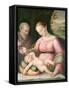 The Holy Family in a Mountainous Landscape-Giulio Romano-Framed Stretched Canvas