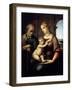 The Holy Family (Madonna with Beardless Josep), C1505-C1506-Raphael-Framed Giclee Print