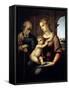 The Holy Family (Madonna with Beardless Josep), C1505-C1506-Raphael-Framed Stretched Canvas