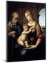 The Holy Family (Madonna with Beardless Josep), C1505-C1506-Raphael-Mounted Giclee Print