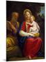 The Holy Family (Oil on Copper)-Francesco Albani-Mounted Giclee Print