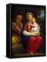The Holy Family (Oil on Copper)-Francesco Albani-Framed Stretched Canvas