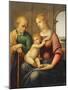 The Holy Family, or Madonna with the Beardless Joseph, C.1506-Raphael-Mounted Giclee Print