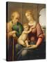 The Holy Family, or Madonna with the Beardless Joseph, C.1506-Raphael-Stretched Canvas