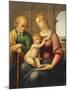 The Holy Family, or Madonna with the Beardless Joseph, C.1506-Raphael-Mounted Giclee Print