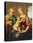 The Holy Family, or Madonna with the Beardless Joseph, C.1506-Raphael-Stretched Canvas