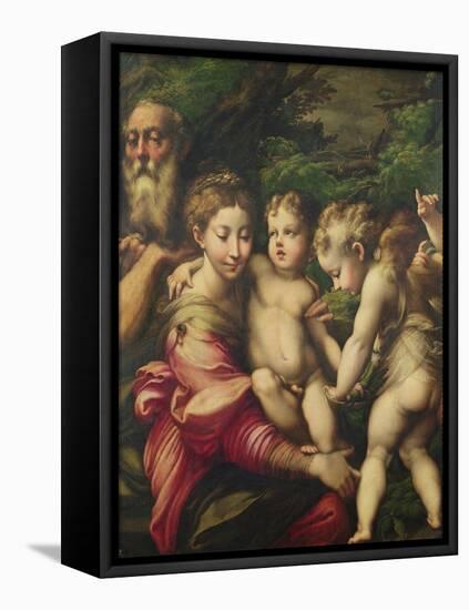 The Holy Family (Rest on the Flight to Egypt) 1524-Parmigianino-Framed Stretched Canvas