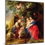 The Holy Family under an Apple Tree, C.1632 (Oil on Panel)-Peter Paul Rubens-Mounted Giclee Print