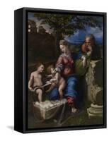 The Holy Family under an Oak Tree, Ca 1518-Raphael-Framed Stretched Canvas