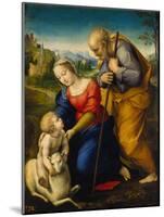 The Holy Family with a Lamb, 1507-Raphael-Mounted Premium Giclee Print