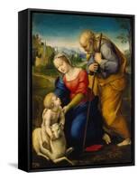 The Holy Family with a Lamb, 1507-Raphael-Framed Stretched Canvas