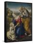 The Holy Family with a Lamb, 1507-Raphael-Framed Stretched Canvas