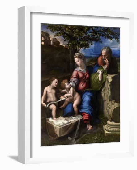 The Holy Family with an Oak Tree, 1518-1520-Raphael-Framed Giclee Print