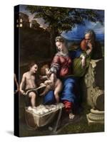 The Holy Family with an Oak Tree, 1518-1520-Raphael-Stretched Canvas