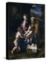 The Holy Family with John the Baptist and Saint Elizabeth (La Perl)-Raphael-Stretched Canvas