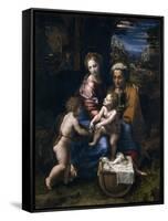 The Holy Family with John the Baptist and Saint Elizabeth (La Perl)-Raphael-Framed Stretched Canvas