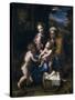 The Holy Family with John the Baptist and Saint Elizabeth (La Perl)-Raphael-Stretched Canvas