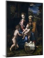 The Holy Family with John the Baptist and Saint Elizabeth (La Perl)-Raphael-Mounted Giclee Print