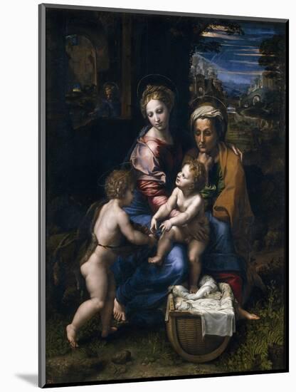 The Holy Family with John the Baptist and Saint Elizabeth (La Perl)-Raphael-Mounted Giclee Print