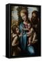The Holy Family with John the Baptist as a Boy, 1525-1528-Sodoma-Framed Stretched Canvas