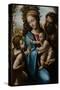 The Holy Family with John the Baptist as a Boy, 1525-1528-Sodoma-Stretched Canvas