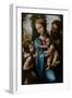 The Holy Family with John the Baptist as a Boy, 1525-1528-Sodoma-Framed Giclee Print