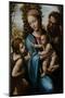 The Holy Family with John the Baptist as a Boy, 1525-1528-Sodoma-Mounted Giclee Print