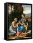 The Holy Family with John the Baptist as a Boy and Saint Elizabeth (La Petite Sainte Famill)-Giulio Romano-Framed Stretched Canvas