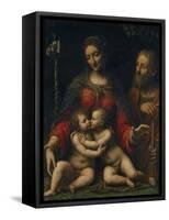 The Holy Family with John the Baptist-Bernardino Luini-Framed Stretched Canvas