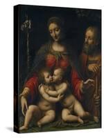 The Holy Family with John the Baptist-Bernardino Luini-Stretched Canvas