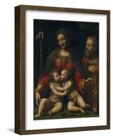 The Holy Family with John the Baptist-Bernardino Luini-Framed Giclee Print