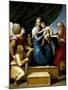 The Holy Family with Raphael, Tobias and Saint Jerome, or the Virgin with a Fish, 1513-1514-Raphael-Mounted Giclee Print