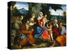 The Holy Family with Saint Francis, Saint Anthony, Mary Magdalen, John Baptist and Elisabeth-Paolo Veronese-Stretched Canvas