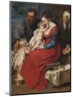 The Holy Family with Saints Elizabeth and John the Baptist, C.1615-Peter Paul Rubens-Mounted Giclee Print