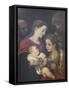 The Holy Family with Saints Francis and Catherine of Alexandria, C.1589-92-Lodovico Carracci-Framed Stretched Canvas