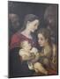The Holy Family with Saints Francis and Catherine of Alexandria, C.1589-92-Lodovico Carracci-Mounted Giclee Print