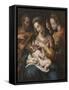 The Holy Family with St Catherine, c.1600-Giulio Cesare Procaccini-Framed Stretched Canvas