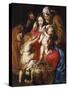 The Holy Family with St Elizabeth, St John and a Dove, c.1609-Peter Paul Rubens-Stretched Canvas