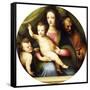 The Holy Family with the Infant Saint John the Baptist-Domenico Beccafumi-Framed Stretched Canvas