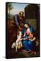 The Holy Family with the Infant St John the Baptist, 1763-Anton Raphael Mengs-Framed Stretched Canvas