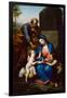 The Holy Family with the Infant St John the Baptist, 1763-Anton Raphael Mengs-Framed Giclee Print