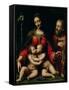 The Holy Family with the Infant St. John-Bernardino Luini-Framed Stretched Canvas