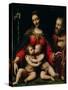 The Holy Family with the Infant St. John-Bernardino Luini-Stretched Canvas
