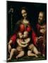 The Holy Family with the Infant St. John-Bernardino Luini-Mounted Giclee Print