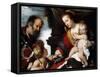 The Holy Family with the Infant St-Bernardo Strozzi-Framed Stretched Canvas