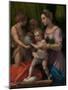 The Holy Family with the Young Saint John the Baptist, 1528-9-Andrea del Sarto-Mounted Giclee Print